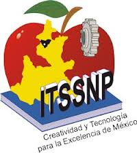 Instituto Tecnolgico Superior de La Sierra Norte de Puebla (ITSSNP)