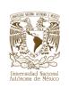 Universidad Nacional Autnoma de Mxico (UNAM)