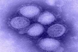 Epidemiología ciencia de impacto en la medicina: especialista.