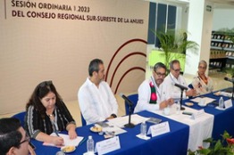 EL CONSEJO REGIONAL SUR-SURESTE DE LA ANUIES APRUEBA SU PROGRAMA ANUAL DE TRABAJO