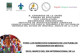 IIJ-UV invita a foro sobre derechos humanos de pueblos originarios