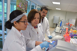 Ciencia Ciudadana, nueva visión de la UJAT en materia de investigación