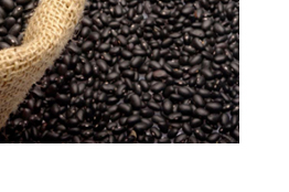 Frijol negro: Un alimento accesible, nutritivo y antioxidante