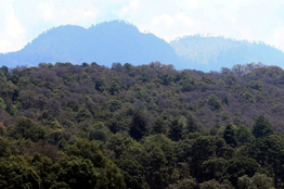 Importante, conservar ecosistemas y mitigar efectos del cambio climático