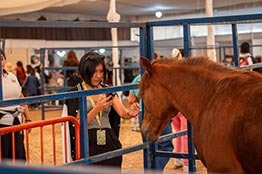 Ajustan presupuesto a Universidad Autónoma de Chapingo; recibirá 3.5 % más que en 2024 