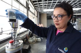 Investigadores del IPN avanzan para convertir desechos agroindustriales en platos degradables 