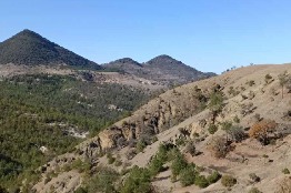 DESCUBREN MICROORGANISMOS BENÉFICOS PARA SISTEMAS AGRÍCOLAS