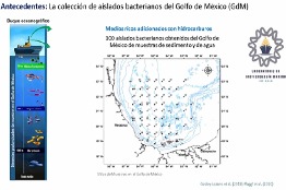 UNIVERSITARIAS DESCUBREN MICROORGANISMO QUE DEGRADA EN 15 DÍAS EL PLÁSTICO