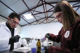 Alista IPN plástico que se disuelve y purifica el agua