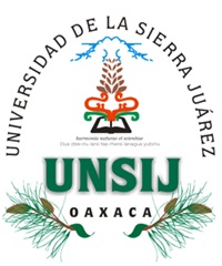 Universidad de la Sierra Juárez