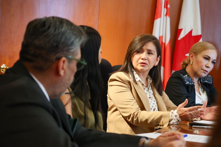 ANUIES y diputados acuerdan gestionar recursos extraordinarios para apoyar a las universidades públicas