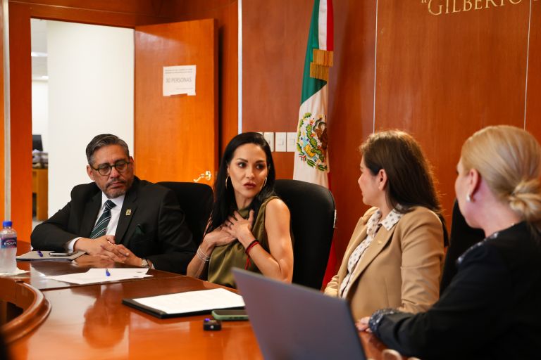 ANUIES y diputados acuerdan gestionar recursos extraordinarios para apoyar a las universidades públicas