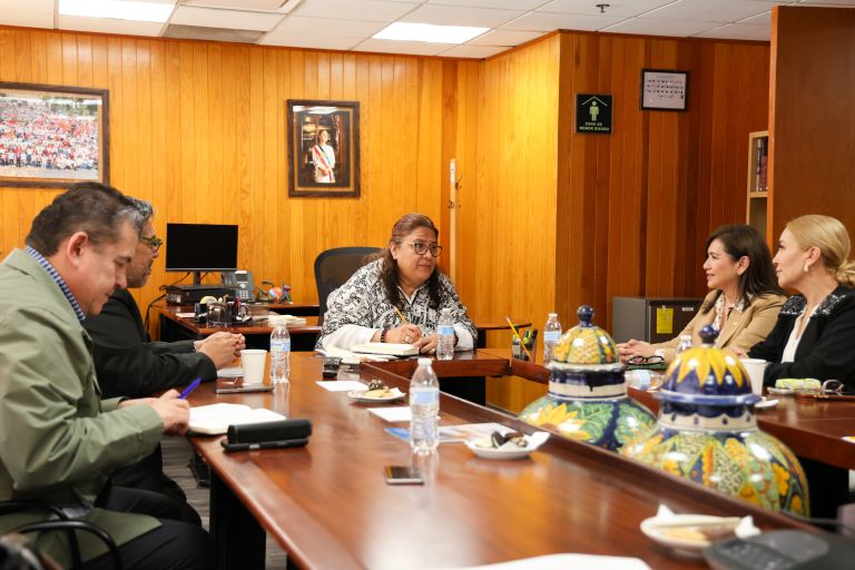 ANUIES y diputados acuerdan gestionar recursos extraordinarios para apoyar a las universidades públicas