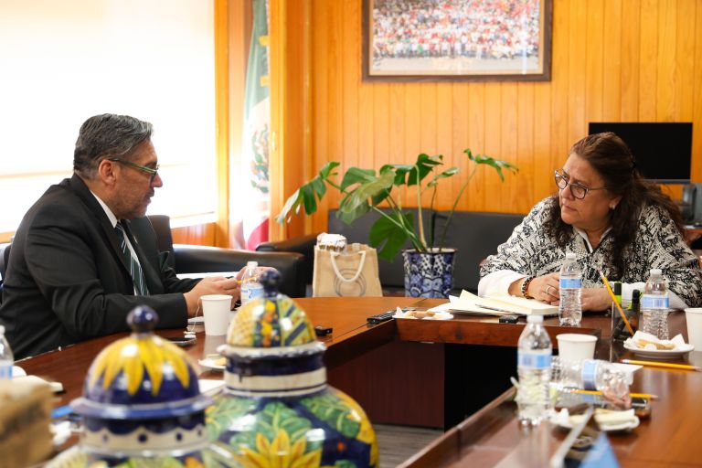 ANUIES y diputados acuerdan gestionar recursos extraordinarios para apoyar a las universidades públicas