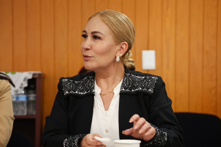 ANUIES y diputados acuerdan gestionar recursos extraordinarios para apoyar a las universidades públicas