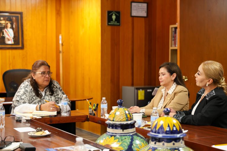 ANUIES y diputados acuerdan gestionar recursos extraordinarios para apoyar a las universidades públicas